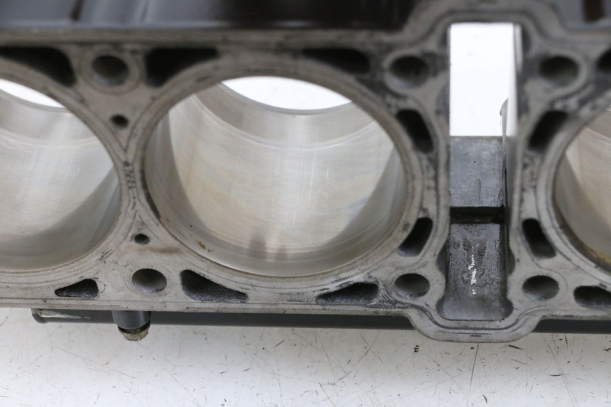 photo de CYLINDER BARREL PISTON MV AGUSTA BRUTALE R WALLY 910 (2008 - 2008) - Focus on structure