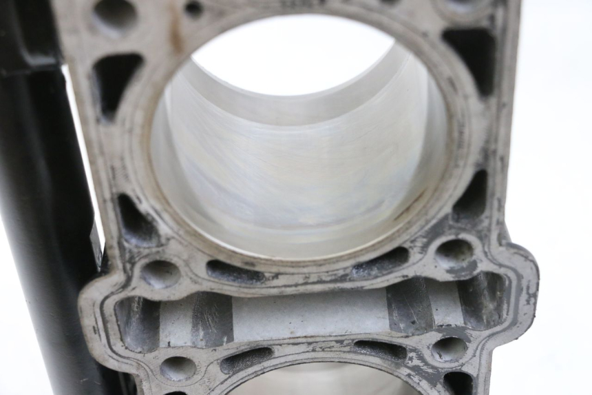 photo de CYLINDER BARREL PISTON MV AGUSTA BRUTALE R WALLY 910 (2008 - 2008) - Spare part profile view