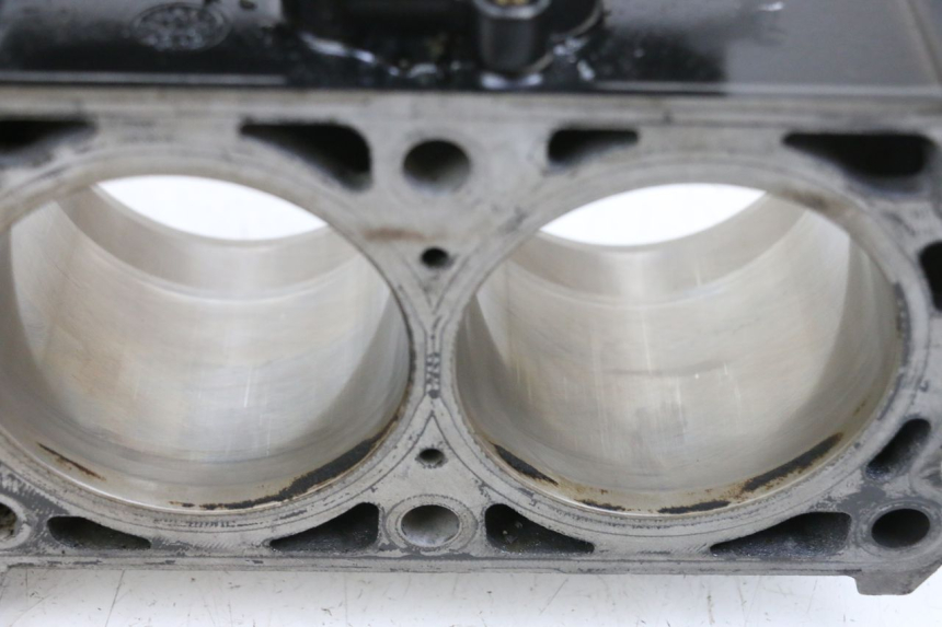 photo de CYLINDER BARREL PISTON MV AGUSTA BRUTALE R WALLY 910 (2008 - 2008) - Alternative perspective