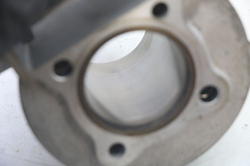 photo de CYLINDER BARREL PISTON DAELIM BESBI 125 (2007 - 2008)