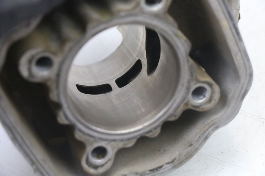 photo de CYLINDER BARREL PISTON DERBI SENDA SM DRD X-TREME 50 (2011 - 2017)