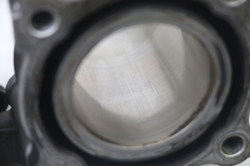 photo de CYLINDER BARREL PISTON KYMCO DINK STREET 125 (2009 - 2014)
