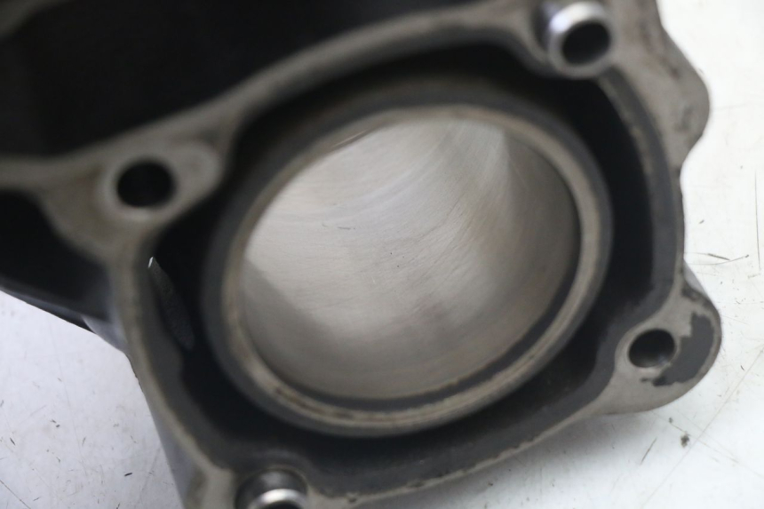 photo de CYLINDER BARREL PISTON PEUGEOT ELYSEO 125 (1999 - 2004)