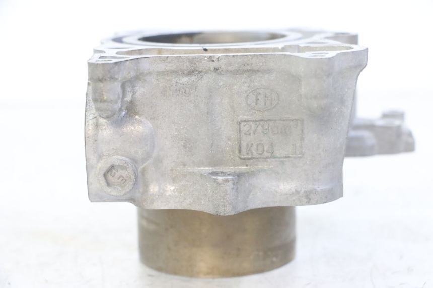 photo de CYLINDER BARREL PISTON HONDA FORZA ABS 300 (2013 - 2019)