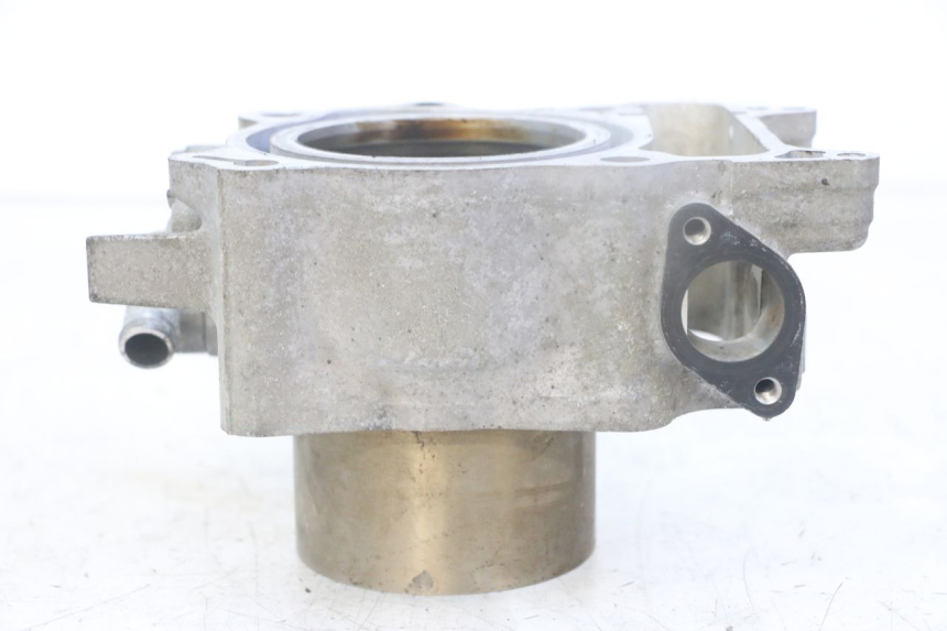 photo de CYLINDER BARREL PISTON HONDA FORZA ABS 300 (2013 - 2019)