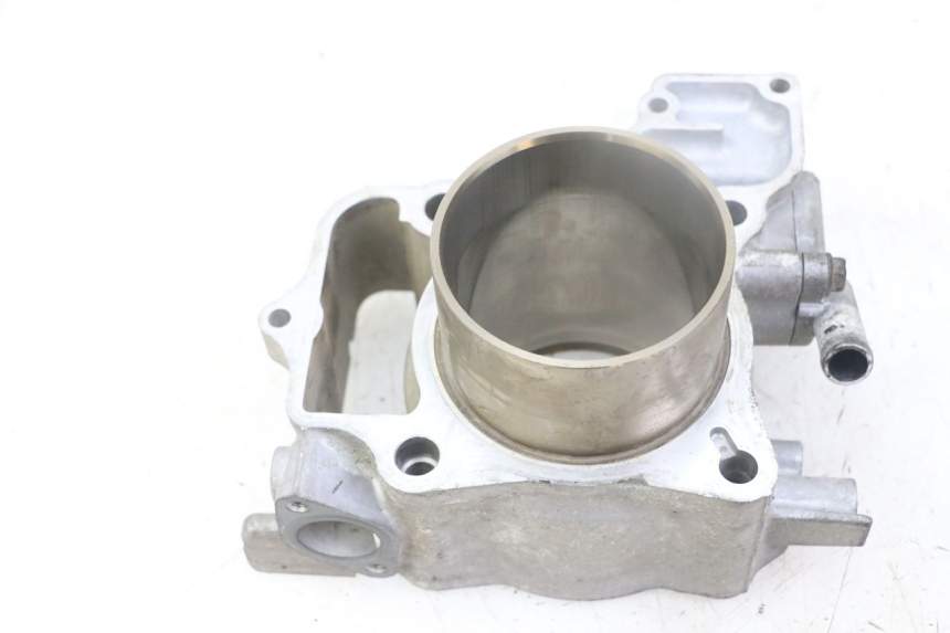 photo de CYLINDER BARREL PISTON HONDA FORZA ABS 300 (2013 - 2019)