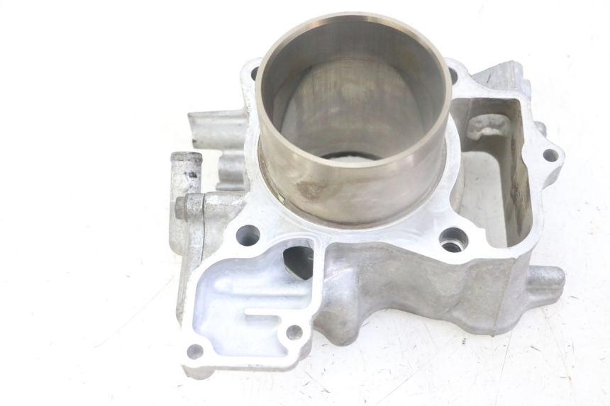 photo de CYLINDER BARREL PISTON HONDA FORZA ABS 300 (2013 - 2019)