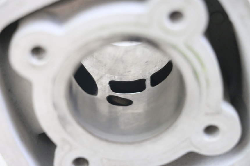 photo de CYLINDER BARREL PISTON GILERA DNA 50 (2000 - 2007)