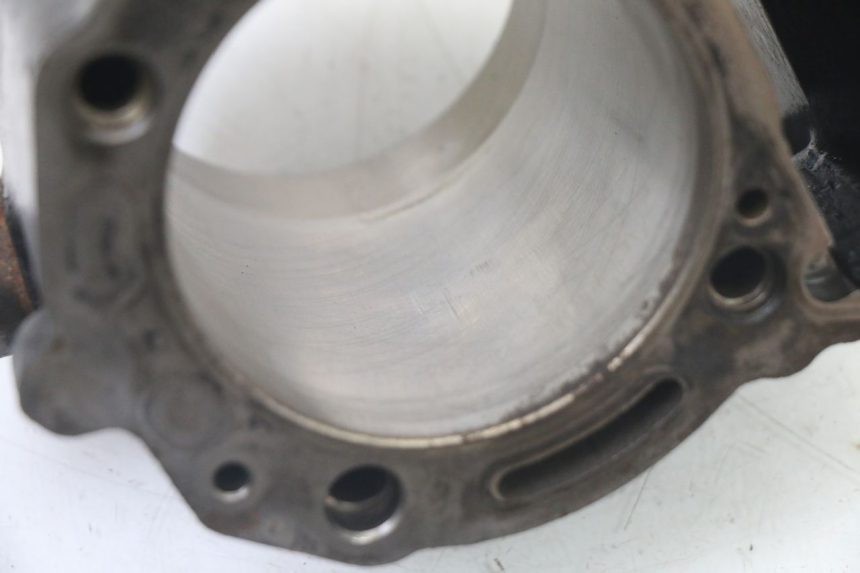 photo de CYLINDER BARREL PISTON GILERA NEXUS 300 (2008 - 2013)