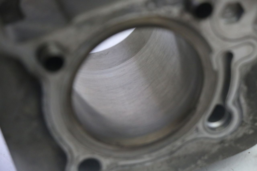 photo de CYLINDER BARREL PISTON DAELIM HISTORY 125 (2001 - 2002)