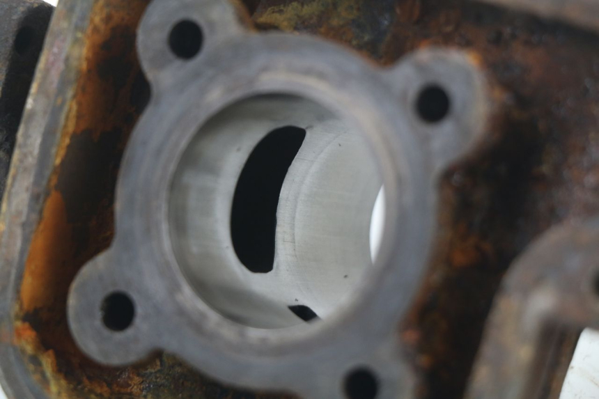 photo de CYLINDER BARREL PISTON PEUGEOT LUDIX BLASTER 50 (2006 - 2014)