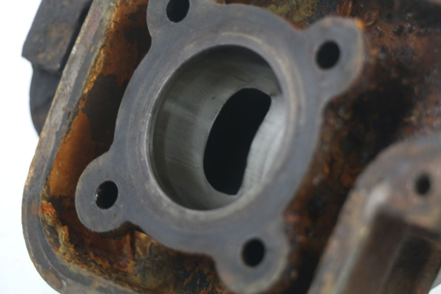 photo de CYLINDER BARREL PISTON PEUGEOT LUDIX BLASTER 50 (2006 - 2014)