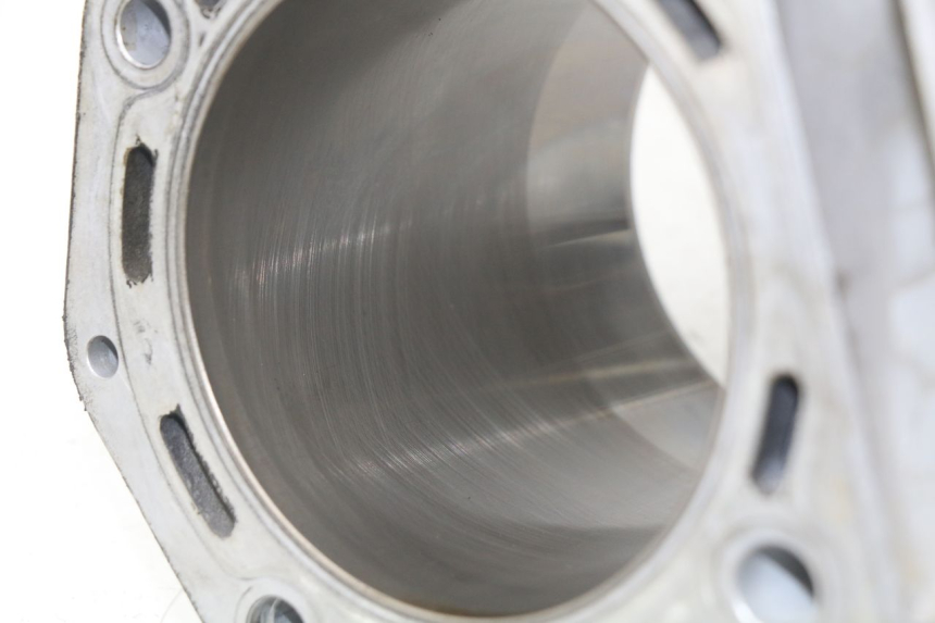 photo de CYLINDER BARREL PISTON PEUGEOT SATELIS 500 (2007 - 2013)