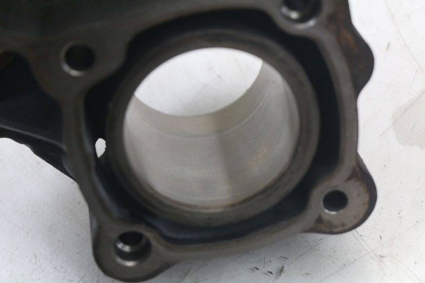 photo de CYLINDER PISTON PEUGEOT SATELIS 125 (2006 - 2009)