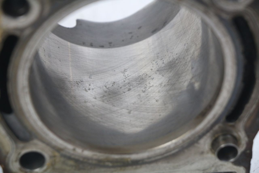 photo de CYLINDER BARREL PISTON APRILIA SRV 850 (2012 - 2017) - Surface and material condition