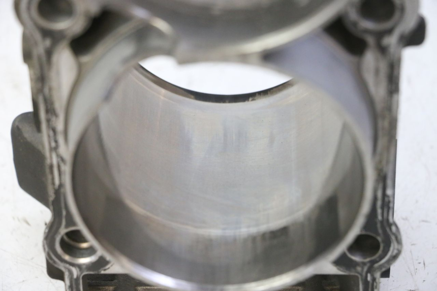 photo de CYLINDER BARREL PISTON YAMAHA TDM ABS 900 (2002 - 2014)