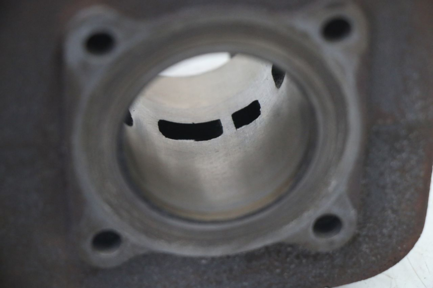 photo de CYLINDER BARREL PISTON PEUGEOT VIVACITY NEW 2T 50 (2008 - 2017)
