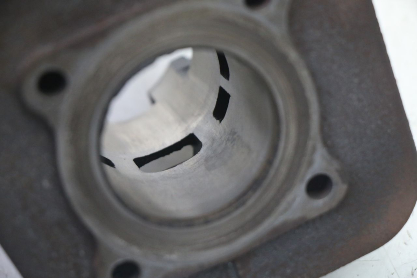 photo de CYLINDER BARREL PISTON PEUGEOT VIVACITY NEW 2T 50 (2008 - 2017)