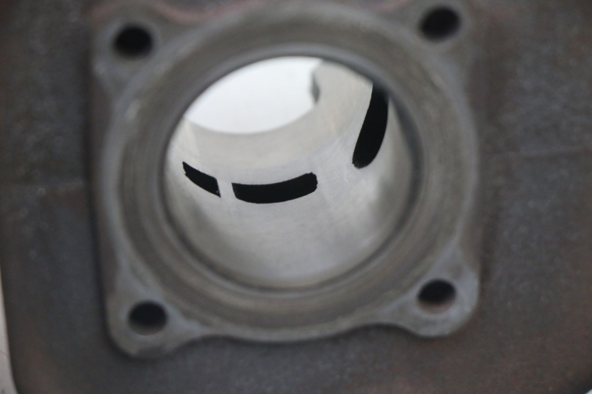 photo de CYLINDER BARREL PISTON PEUGEOT VIVACITY NEW 2T 50 (2008 - 2017)