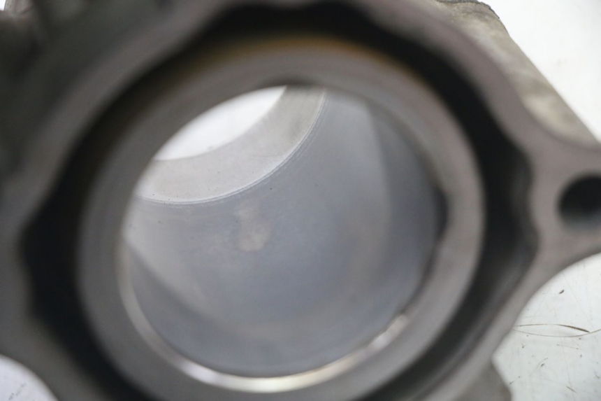 photo de CYLINDER BARREL PISTON YAMAHA X-MAX XMAX 125 (2010 - 2014)