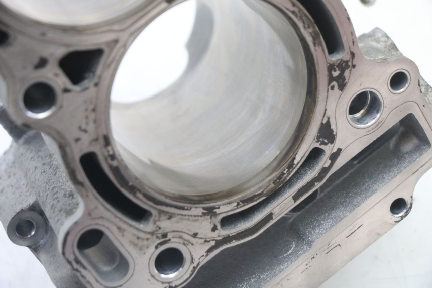 photo de CYLINDER BARREL PISTON YAMAHA YP T-MAX TMAX 530 (2017 - 2020)