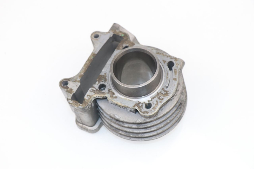 photo de CYLINDER BARREL BHM REVENGER 50 (2009 - 2015)