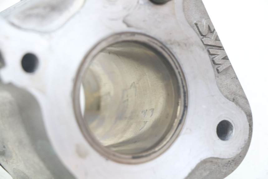 photo de CYLINDER BARREL PEUGEOT TWEET ACTIVE 4T 50 (2018 - 2022)