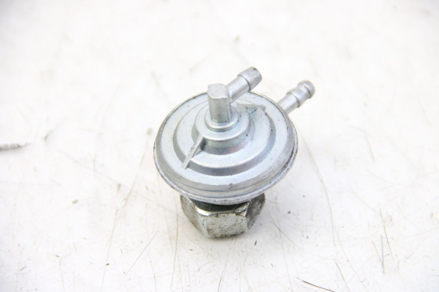 photo de FUEL TANK VENT IMF INDUSTRIE PACH 4T 50 (2009 - 2018)