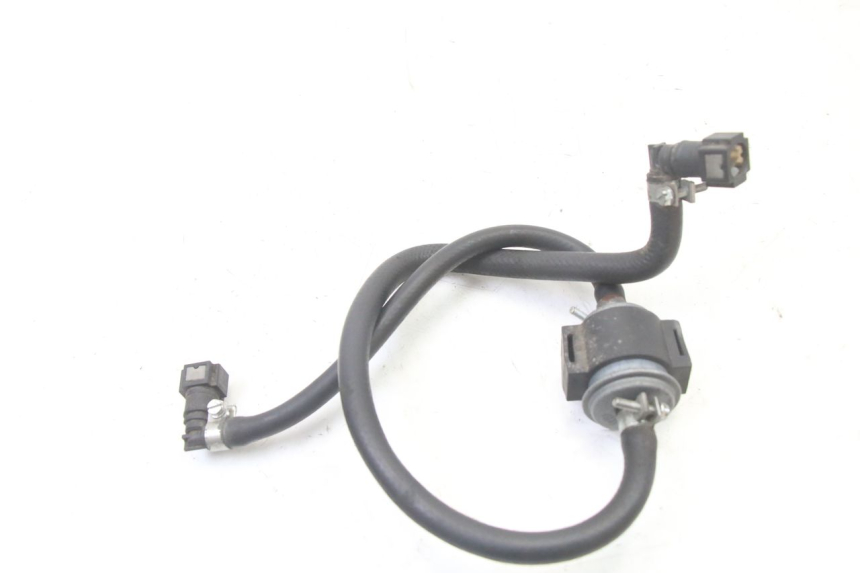 photo de INJECTOR HOSE JM MOTORS OLDIES GT 4T 50 (2018 - 2025)