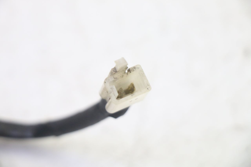 photo de NUMBER PLATE LIGHT QUADRO 4 4D 350 (2015 - 2018)