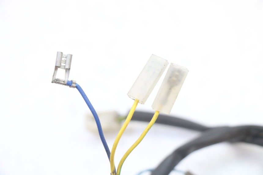 photo de NUMBER PLATE LIGHTING APRILIA CLASSIC 125 (1995 - 2001)