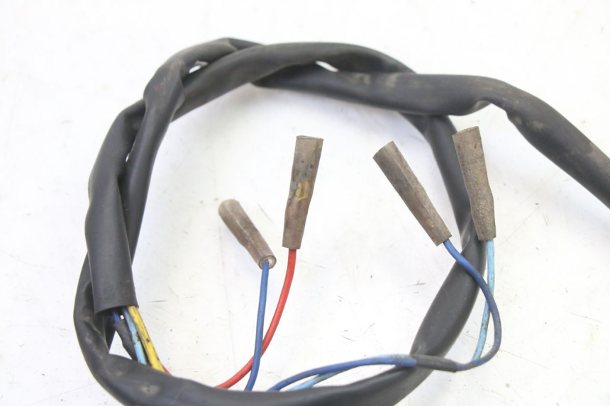 photo de NUMBER PLATE LIGHTING APRILIA CLASSIC 125 (1995 - 2001)