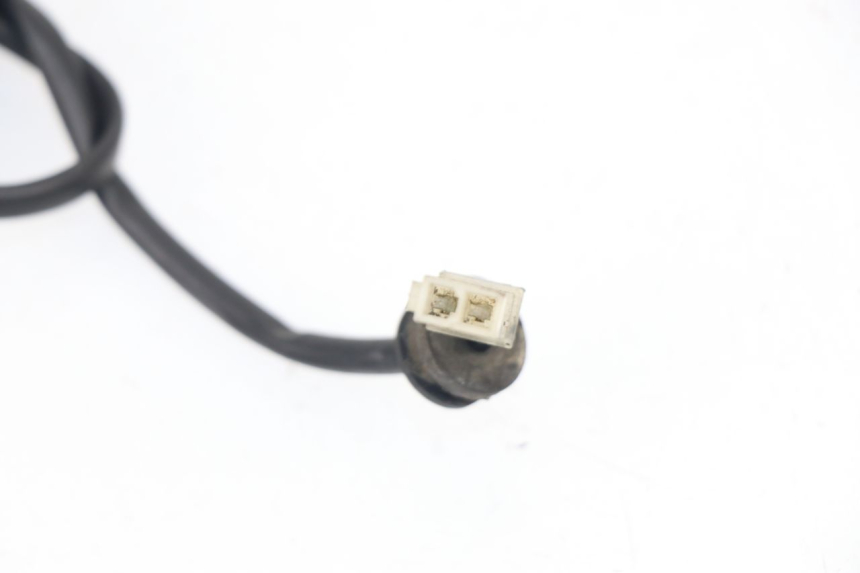 photo de LICENSE PLATE LIGHT PEUGEOT ELYSEO 125 (1999 - 2004)