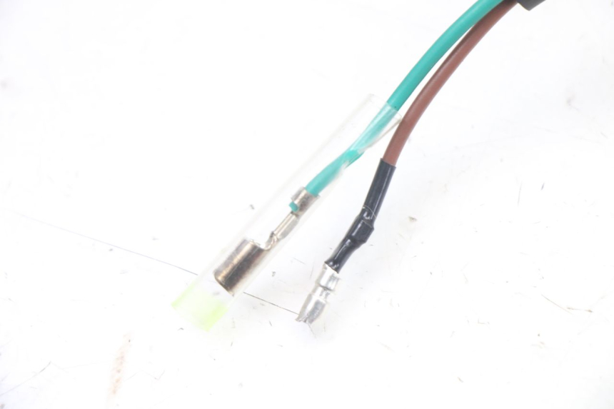photo de NUMBER PLATE LIGHTING PEUGEOT TWEET 4T 50 (2023 - 2025)