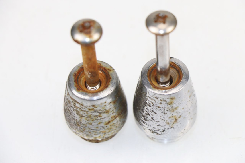 photo de HANDLEBAR ENDS GOWINN DOLCE VITA 125 (2007 - 2013)