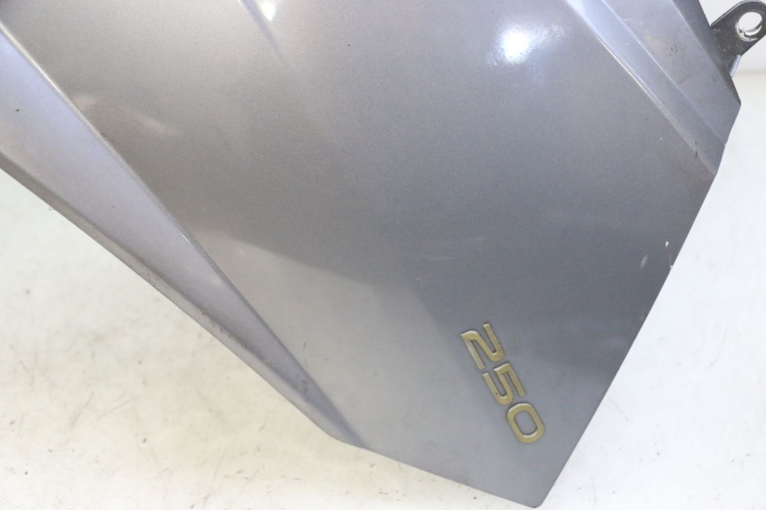 photo de FRONT FAIRING PEUGEOT SATELIS 250 (2006 - 2012)