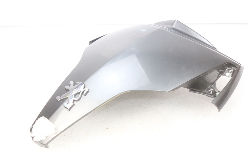 photo de UPPER FRONT FACE PEUGEOT GEOPOLIS 400 (2007 - 2013)