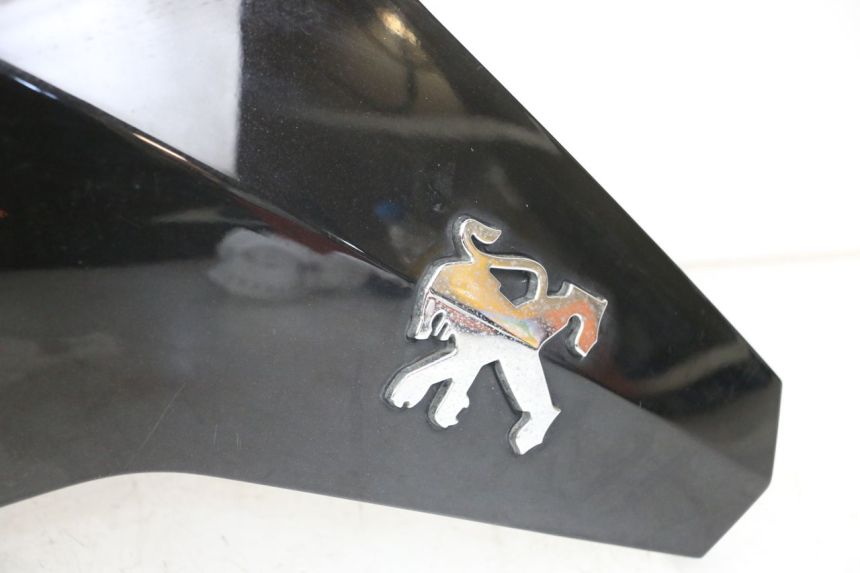 photo de UPPER FRONT FAIRING PEUGEOT GEOPOLIS RS 125 (2007 - 2009)