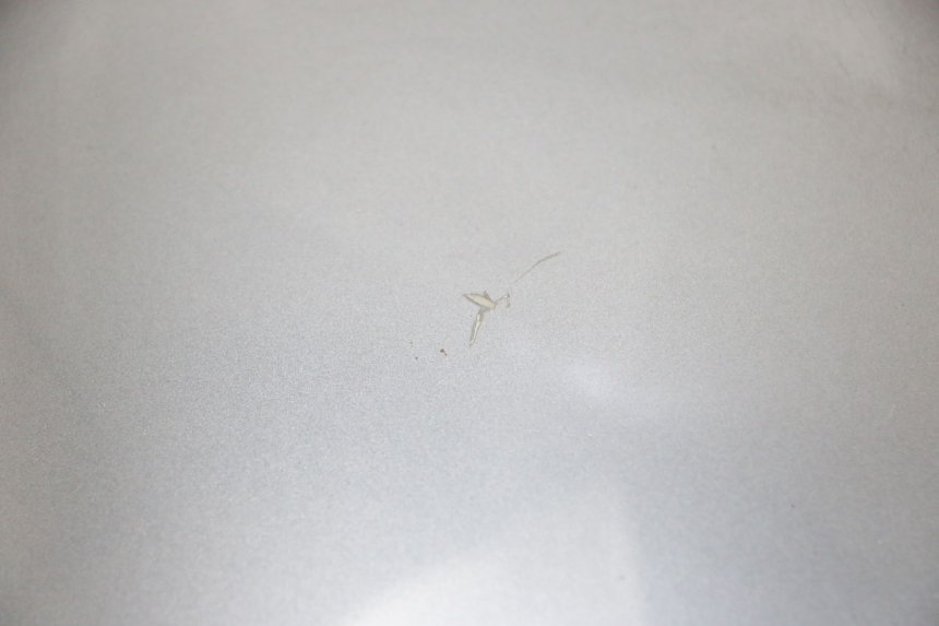 photo de UPPER FRONT FACE EFUN PUSA 1 - Surface and material condition