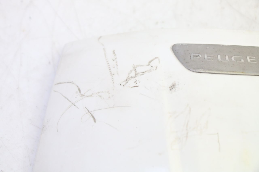 photo de UPPER FRONT FAIRING PEUGEOT TWEET PRO EFI 4T 50 (2021 - 2022)