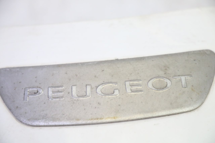 photo de UPPER FRONT FAIRING PEUGEOT TWEET PRO EFI 4T 50 (2021 - 2022)