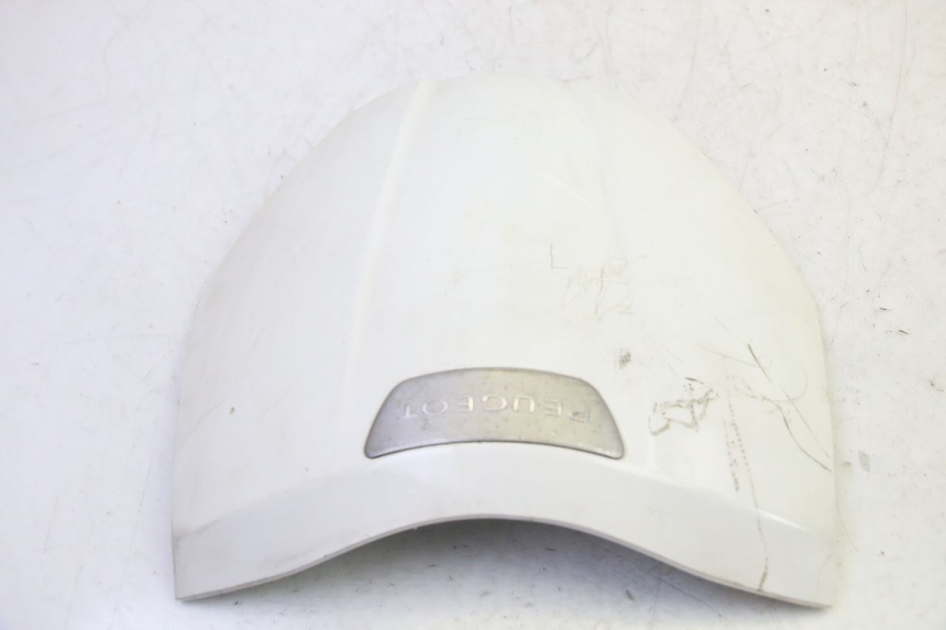 photo de UPPER FRONT FAIRING PEUGEOT TWEET PRO EFI 4T 50 (2021 - 2022)