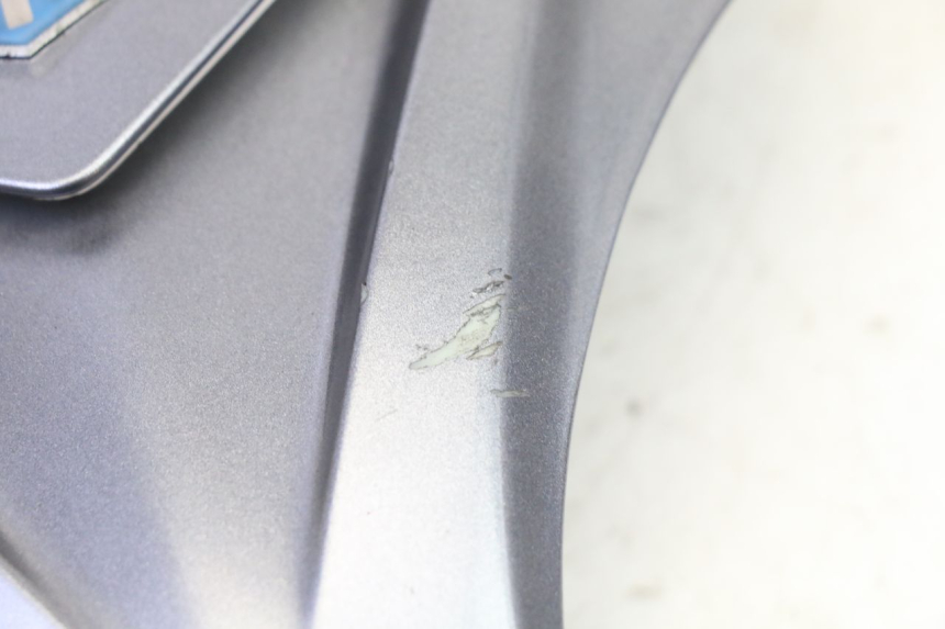 photo de UPPER FRONT PANEL PIAGGIO X9 EVOLUTION 125 (2003 - 2007)