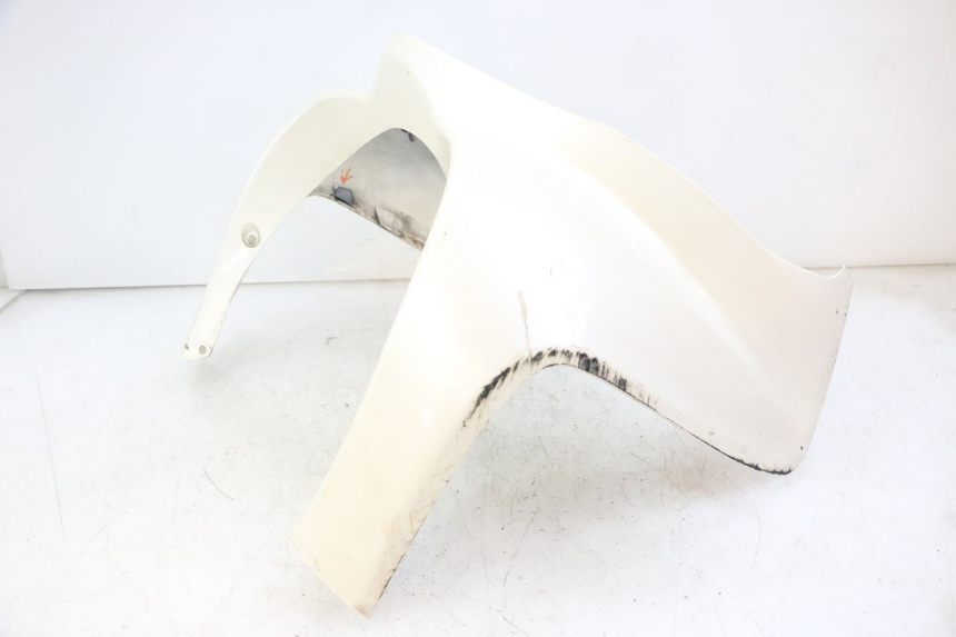 photo de FRONT FAIRING SUZUKI BURGMAN 125 (2007 - 2014)