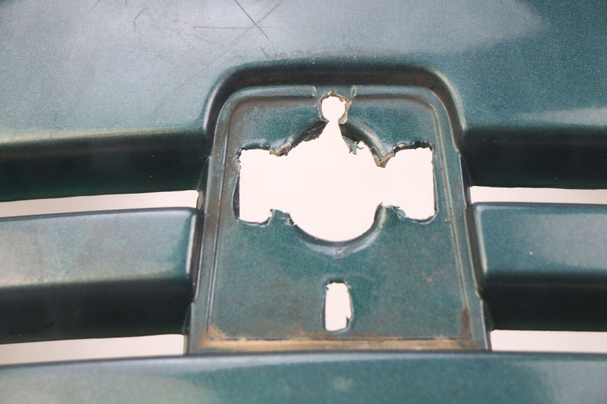 photo de FRONT PANEL PEUGEOT SV 125 (1991 - 1994)