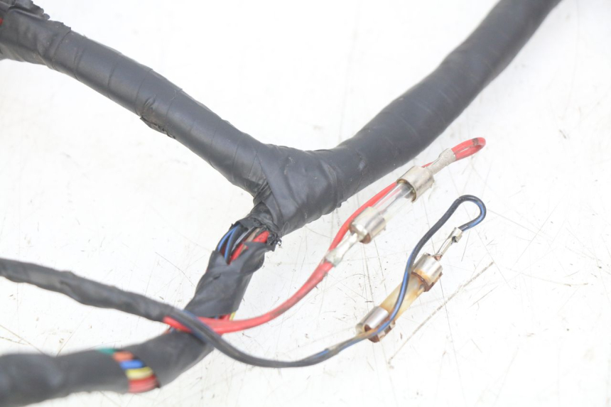 photo de WIRING HARNESS KYMCO AGILITY 4T 50 (2018 - 2022)