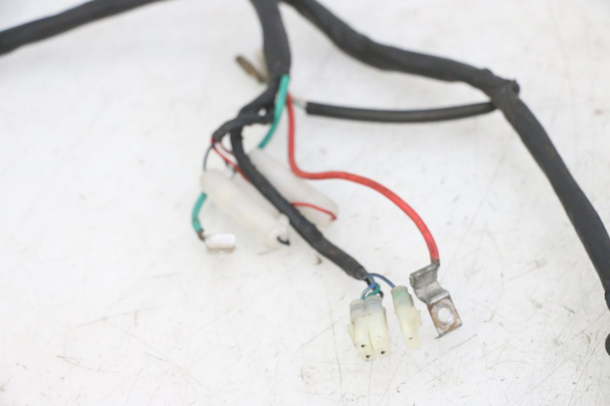 photo de WIRING HARNESS KYMCO AGILITY 4T 50 (2005 - 2018)