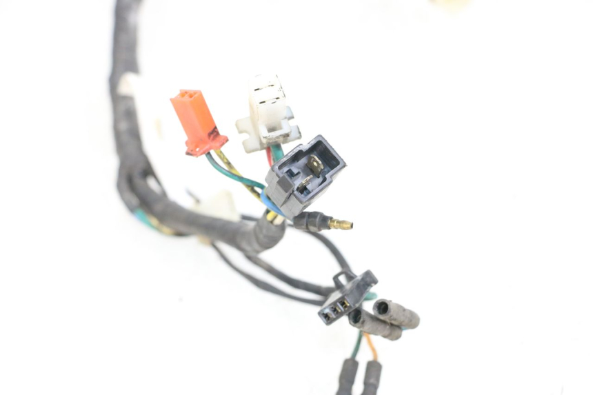 photo de WIRE HARNESS KYMCO AGILITY PREMIUM 50 (2007 - 2010)