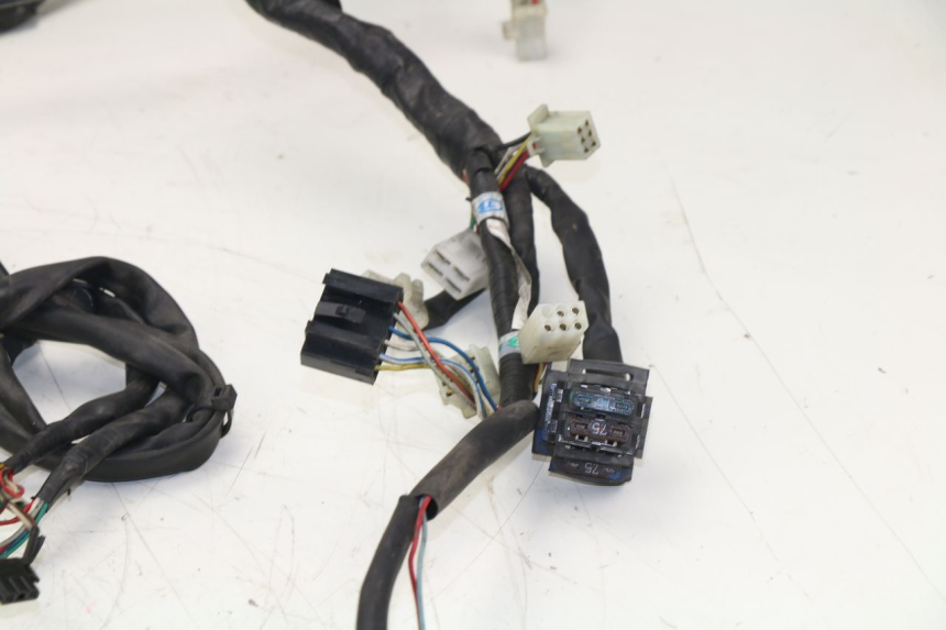 photo de WIRE HARNESS APRILIA ATLANTIC 125 (2003 - 2009)