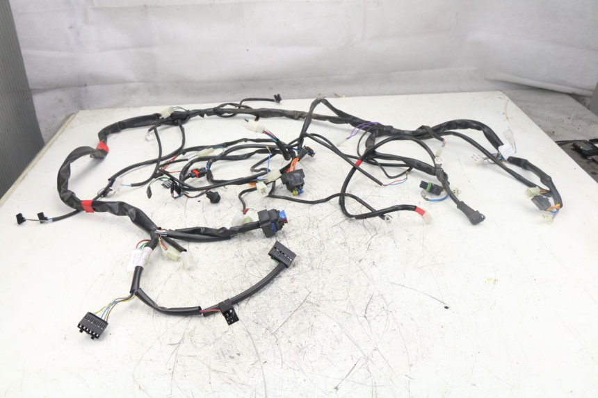 photo de WIRE HARNESS APRILIA ATLANTIC S 125 (2010 - 2013)